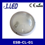 ESB traditional ceiling light MAX60W IP54